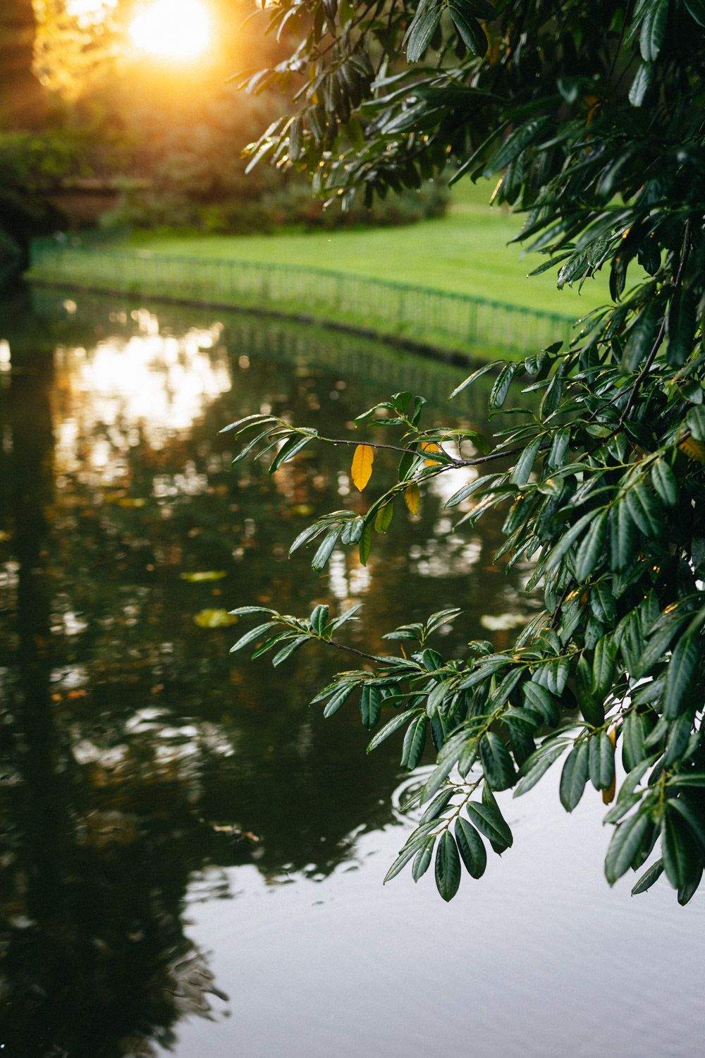 Parc · Ar Milin’ · Hôtel Restaurant Rennes, Ille-et-Vilaine (35)